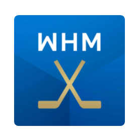 Hockey MOD APK Download