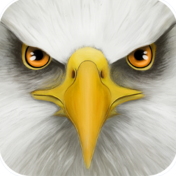 Ultimate Bird Simulator MOD APK Download 