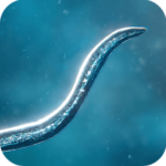 Bionix – Spore & Bacteria Evolution Simulator 3D MOD APK Download