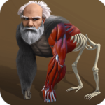 Idle Evolution – from Cell to Human MOD APK