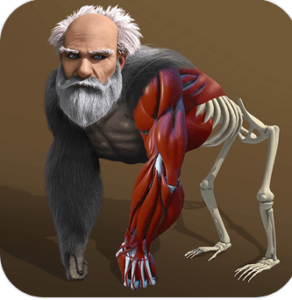Idle Evolution – from Cell to Human MOD APK 